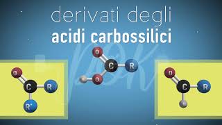 Chimica: Derivati degli acidi carbossilici. Gli ESTERI
