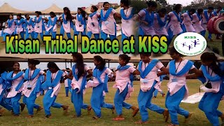 Kisan tribe Traditional Dance/KISS University/KISSian danced Kisan traditional Dance@FurgalSantal