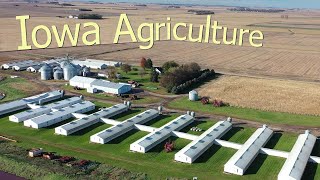 How Iowa Farmers Make $26.4 Billion A Year From 85300 Farms - American Farming Documentary