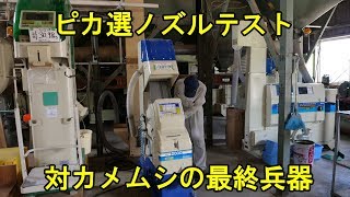 対カメムシの最終兵器ピカ選・デリケートなメンテ必要です・2019