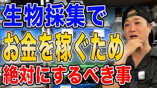 生物採集でお金を稼ぐためにすべきこと