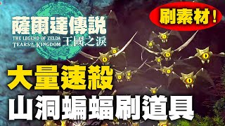 小技巧分享：如何迅速殺掉從山洞裡飛出來的蝙蝠來刷素材？【薩爾達傳說：王國之淚】