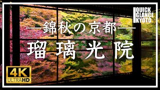 京都紅葉 🍁 瑠璃光院〜 二階書斎の黒机に映り込む「映りもみじ」は息をのむ美しさでした。