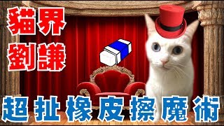 【豆漿 - SoybeanMilk】真的不科學　連劉謙都甘拜下風的魔術！！