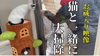 猫の神様に感謝したら野良猫がやってきちゃった！