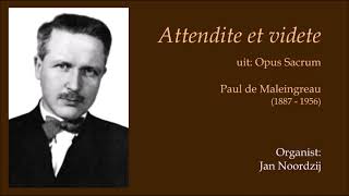 Attendite et videte van Paul de Maleingreau - Organist: Jan Noordzij