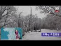 강원 중·북부 산지 대설 주의보 .. 강원 동해안 최대 50cm 폭설 이 시각 cctv sbs