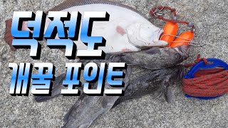 덕적도 낚시 - 개꿀포인트 공개 루어낚시 rockfish