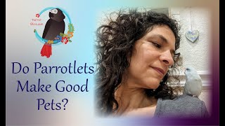 Do Parrotlets Make Good Pets?