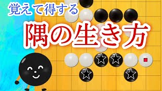 【囲碁クエスト/9路盤囲碁実況】良くある隅のこの形生きられますか？【知っておくだけで強くなる】