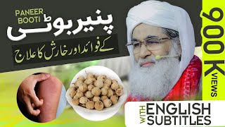 Kharish Ka Ilaj | Paneer Booti Ke Fayde (Benefits) | پنیر بوٹی کے فوائد | Maulana Ilyas Qadri