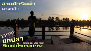 EP.22 ตกปลาริมแม่น้ำบางปะกง [สวนป่าริมน้ำ]