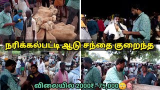 Narikkalpatti🐑market நரிக்கல்பட்டி ஆட்டு சந்தை விற்பனைக்கு குறைந்த விலையில் தமிழ்நாட்டில் முதல் இடம்