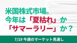 【米国株】今年の夏相場は、夏枯れなのか、それともサマーラリーになるのか。中期的な材料から分析をします【7/19 今週のマーケット見通し】