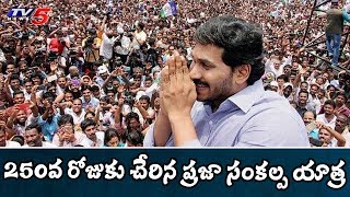 YS Jagan Praja Sankalpa Yatra Reaches 250th Day | Visakhapatnam Dist | TV5 News