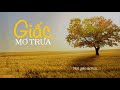 giấc mơ trưa thùy chi lyrics mv