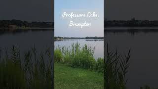 Professors Lake, Brampton