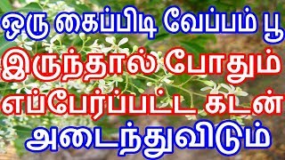 வேப்பம் பூ இருந்தால் போதும் எப்பேர்ப்பட்ட கடன் அடைந்துவிடும்| Sattaimuni Nathar