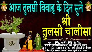 आज अवश्य सुने | श्री तुलसी चालीसा | समस्त कष्ट निवारण के लिए सुनें || Shri Tulsi Chalisa