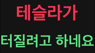 테슬라 급락의 진짜 이유. 미국주식 이 문제로 심각해질 수 있습니다. 지금 확인 하세요.