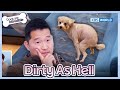 Dirty As Hell [Dogs are incredible : EP.207-1] | KBS WORLD TV 240220