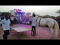 परफ्यूम लगावै चुन्नी पर डांस करना अब घोड़ी को भी डांस पसंद है dancing horse lovekush dungri