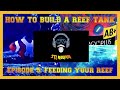 How To Build a Reef Tank Ep. 5: Feeding Your Reef