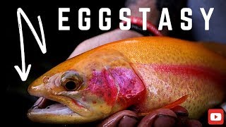 Stillwater Fishing - CRAZY amount of FISH using this METHOD!