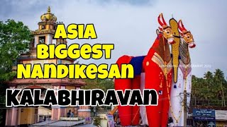 Asia biggest Nandikesan Kalabhiravan|Oachira 28 onam 2022