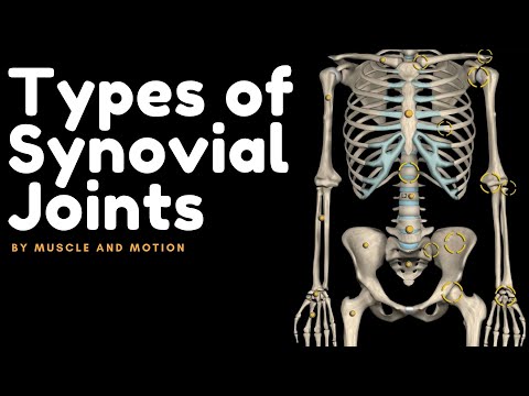 What bone covers the joint surfaces?