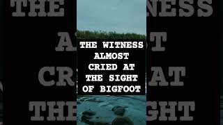 THE WITNESS ALMOST CRIED AT THE SIGHT OF BIGFOOT #shorts #shortsfeed #bigfoot #bigfootwitness #story