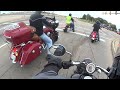 rabid hedgehog s review of the indian scout