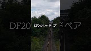 赤いスカート履いた赤熊ー十勝清水町#shorts #jr貨物#train #鉄道 #df200 #十勝清水 #十勝#十勝清水