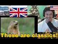 American Reacts Funny British Animal Voiceovers