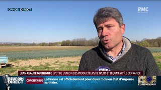 Pénurie de main-d'oeuvre dans le secteur agricole: \