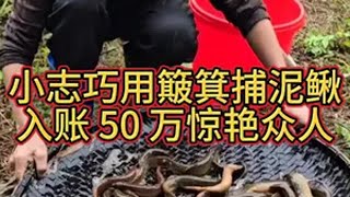 小志抱病出击，小志巧用簸箕捕泥鳅，入账 50 万惊艳众人 越南 户外捕鱼 热点话题 内容启发搜索