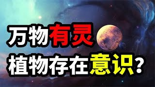 萬物有靈嗎？從泛靈論到量子力學，揭開靈界意識背后的秘密 #歷史 #歷史故事 #中國歷史 #中國 #黃埔軍校