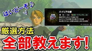 【解説】『討伐ポイント』って知ってる？ハイリアの盾厳選の全てを教えます！【ゼルダの伝説 ブレス オブ ザ ワイルド】