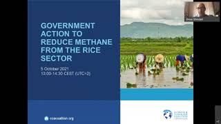Government Action to Reduce Methane from Rice Production