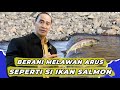 CURAHAN HATI SI IKAN SALMON I KUMPULAN PUISI MOTIVASI ADE RAI