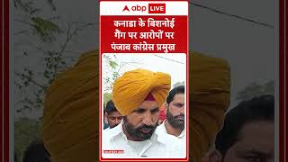 कनाडा के बिशनोई गैंग पर आरोपों पर पंजाब कांग्रेस प्रमुख का बयान #canada #breakingnews #abpshorts