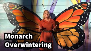 288 - Why are monarch’s overwintering in Pacific Grove?