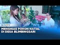 Menghias Pohon Natal di Desa Blimbingsari #JOURNEY