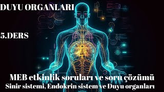 11.Sınıf MEB Etkinlik ve soru çözümü Sinir Sistemi, Endokrin sistem ve Duyu organları