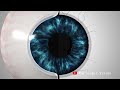 working of a human eye 3d animation the scopic vision