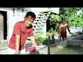 amazing magur catfish harvest harvesting u0026 producing thousands of catfish feeding farm animals