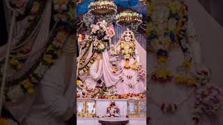 rukmini dwadashi ki shubhkamnaye 😊♥️shri shri rukmini dwarkadish ki jai🙌 #rukmini #krishna #shorts