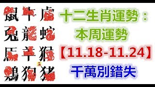 十二生肖運勢：本周運勢【11.18-11.24】千萬別錯失！ - 十二生肖