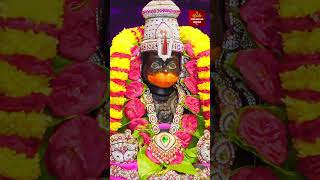 ఆంజనేయస్వామి నైవేద్యం | #shorts | #tipsandtricks #hindu #god #hanuman #astrology