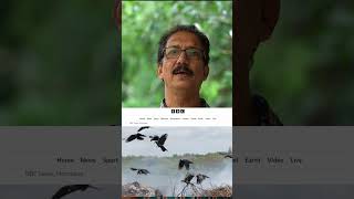 കാക്കകൾ ആഫ്രിക്കയിൽ Zanzibar House Crow Eradication Project #shortsvideo #shortvideo #malayalam